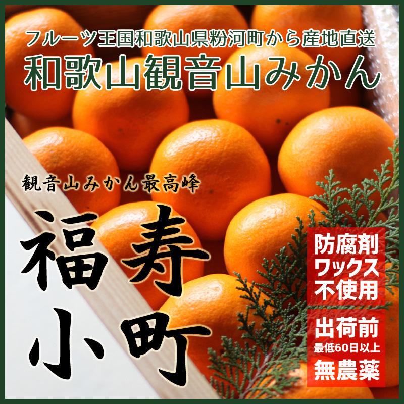 観音山みかん最高峰 福寿小町 高嶺の花 2kg ギフト箱 和歌山県産温州みかん 観音山フルーツガーデン 送料無料