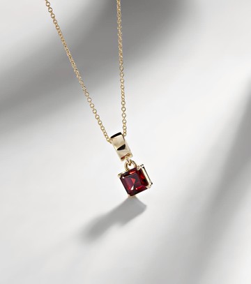 Stone and Strand 10kt gold charm necklace with garnet