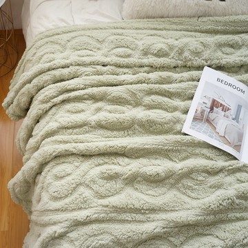 出口巨厚雙層不分離舒棉絨雙人蓋毯泰迪絨冬季加大床單毛毯大毯子