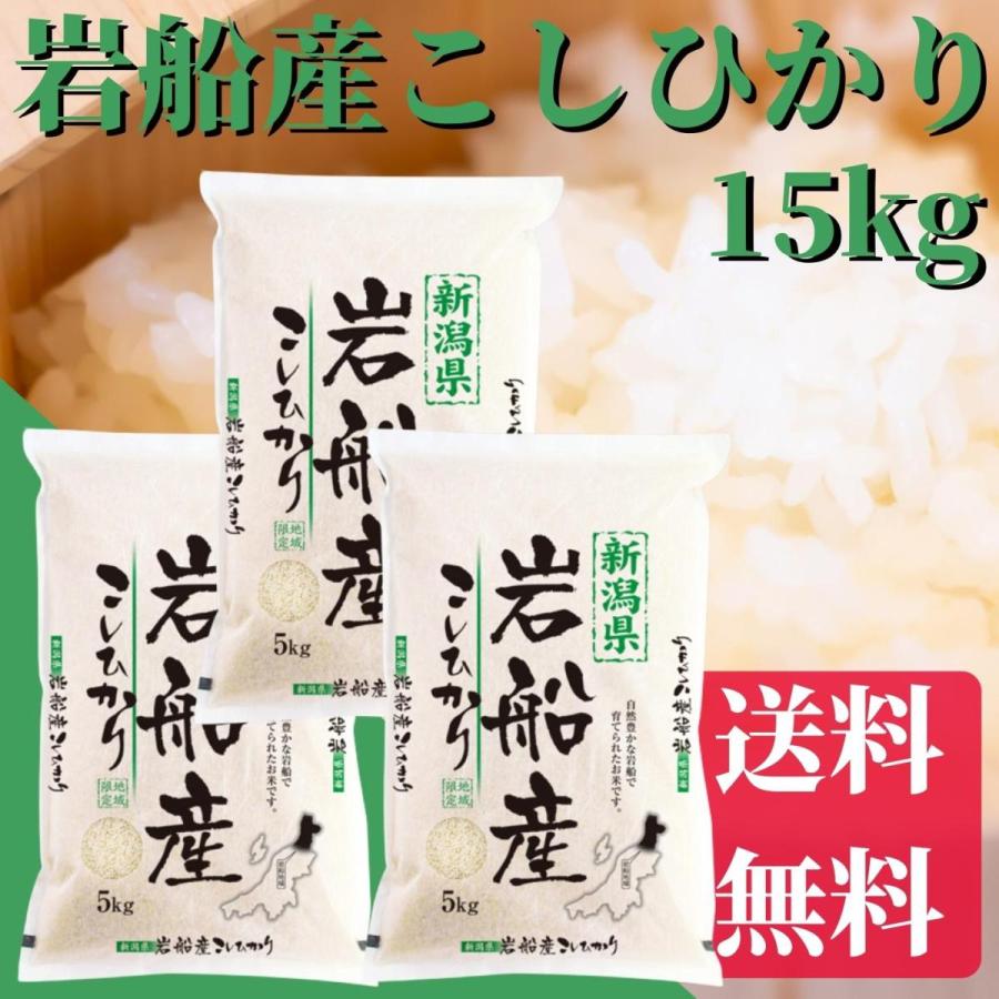 新米 令和５年産 岩船産こしひかり 15kg（5kg×3）送料無料 米 お米 こめ ギフト プレゼント 贈り物 新潟 白米 精米 美味しいお米 新潟産米