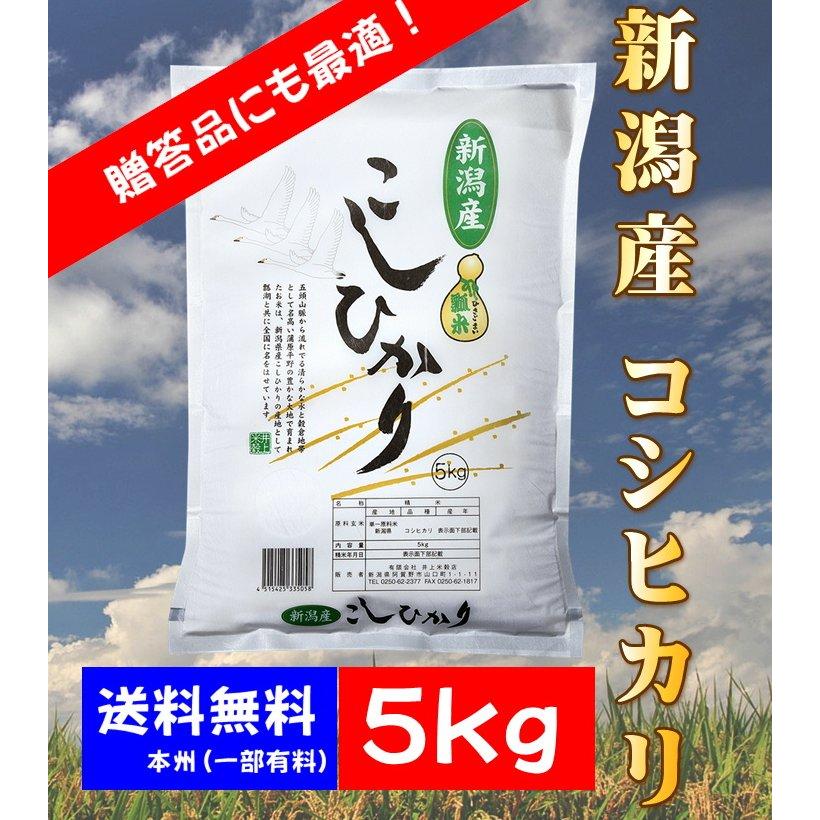 お米　新潟県産コシヒカリ 5kg　精白米　令和2年産　贈答用　熨斗　瓢米