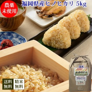 農薬未使用　玄米　福岡県糸島産　ヒノヒカリ　5kg 送料無料　産地直送