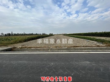 竹橋國小旁方正美農田｜台南市七股區樹林段