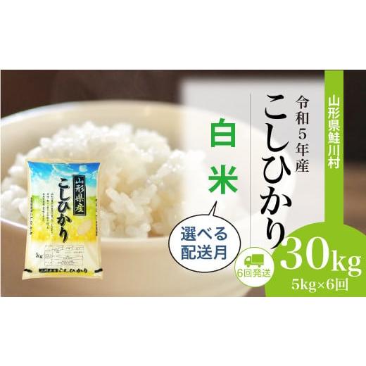 ふるさと納税 山形県 鮭川村 令和5年産　鮭川村　コシヒカリ30kg定期便（5kg×6回発送）