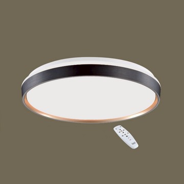 50-74W 遙控吸頂燈 B102-13-64293 64294