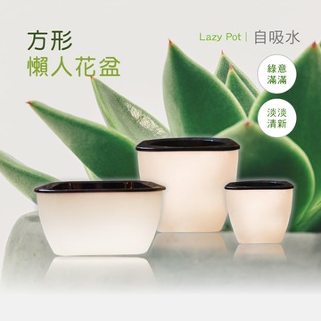 博士韋爾bosswell 自動吸水 棉繩吸水 正方形 懶人盆栽 (15.8*8.5c)(pe16w)