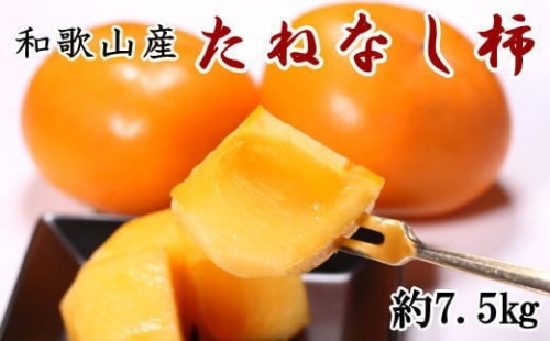 和歌山産のたねなし柿約7.5kg(L～4Lサイズおまかせ)※2023年9月下旬～2023年11月上旬頃順次発送