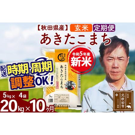 ふるさと納税 《定期便10ヶ月》＜新米＞秋田県産 あきたこまち 20kg(5kg小分け袋) 令和5年産 お届け時期選べる 隔月お届けOK お米 み.. 秋田県北秋田市