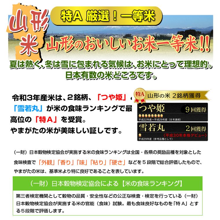 新米 お米 ひとめぼれ 玄米 10kg 山形県庄内産 一等米 5kg×2袋 送料無料 令和5年産