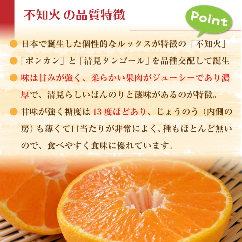 [当日発送可] 不知火 約 4kg 12-15玉 熊本県産 デコポンと同品種 しらぬい 通販 柑橘 甘い みかんの王様 ギフト