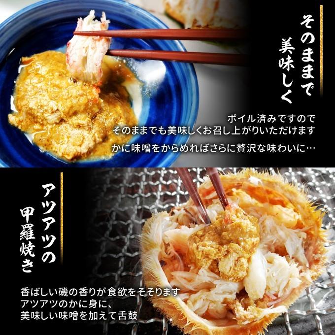 北海道産 ボイル 毛がに 超特大約800g 送料無料 海鮮 ギフト