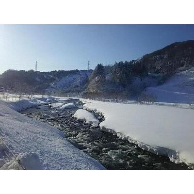 ふるさと納税 ≪令和5年産≫　農家直送！魚沼産コシヒカリ特別栽培「白羽毛の米」玄米(30kg×1袋) 30kg 新潟県十日町市