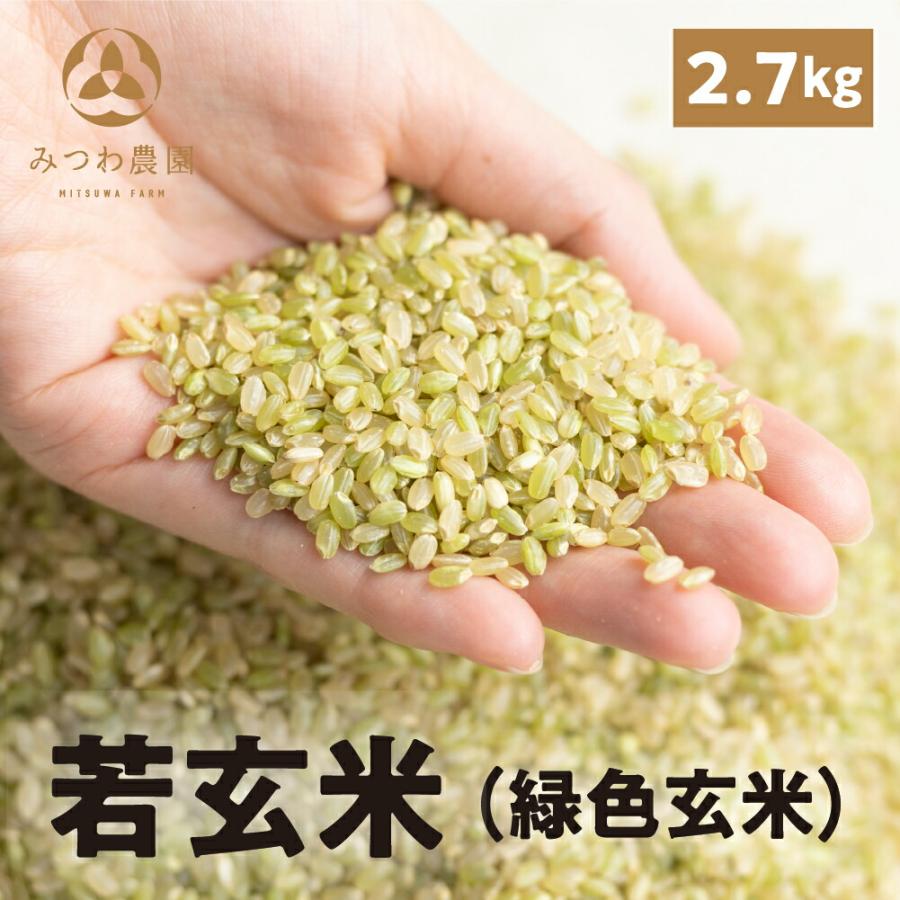 令和5年産 新米 金賞農家の飛騨産 若玄米 緑色玄米 青米 2.7kg 900g×3袋 青玄米 青の玄米 玄米 健康米 飛騨の米 米 みつわ農園 農家直送 送料無料