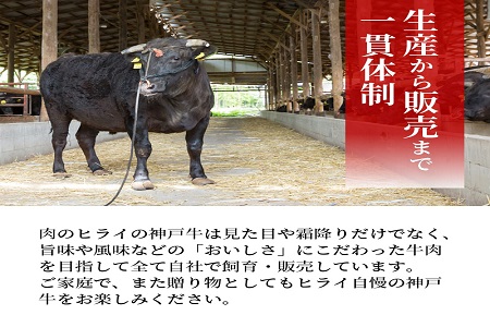 自社牧場直送神戸牛6点食べ比べ焼肉(600g)《 国産 自社牧場直送 肉のヒライ 焼肉 食べ比べ 牛肉 霜降り ロース ハラミ 三角バラ カルビ お楽しみ セット 詰め合わせ 》