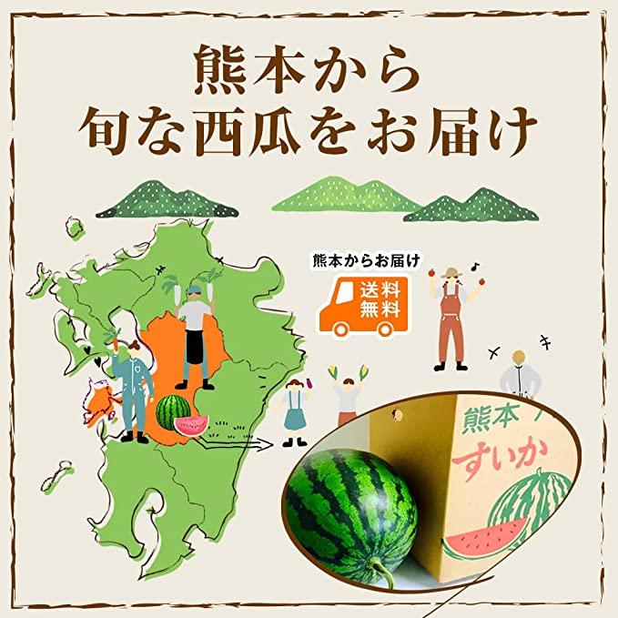    熊本 すいか 1玉 約4.5Kg 2Lサイズ以上 規格外 家庭用 贈答不可 加工用  (002) 西瓜  熊本県産 果物 フルーツ