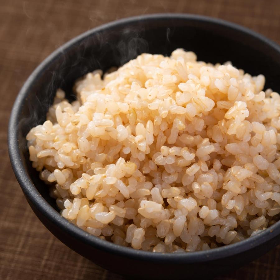 特別栽培米 あきたこまち 玄米 5kg お米 真空パック 米 ごはん 秋田県産 佐々木米穀店