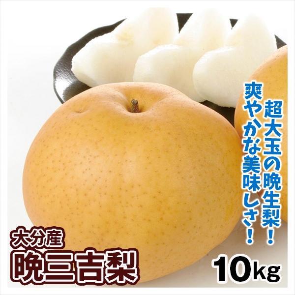 梨 10kg 晩三吉梨 大分産