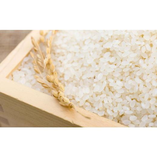 ふるさと納税 北海道 旭川市 令和5年産 特別栽培米 あやひめ おぼろづき ななつぼし （白米・玄米） 合計16kg