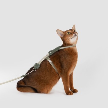 【HiDREAM】皮革圓繩可調節工字貓胸背牽引繩套裝 (多色)