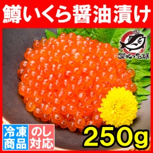 イクラ醤油漬け 250g  北海道製造 鱒いくら 鮭鱒いくら いくら醤油漬け 鱒子 鱒卵 醤油いくら いくら丼 イクラ丼 味付けいくら 味付けイ