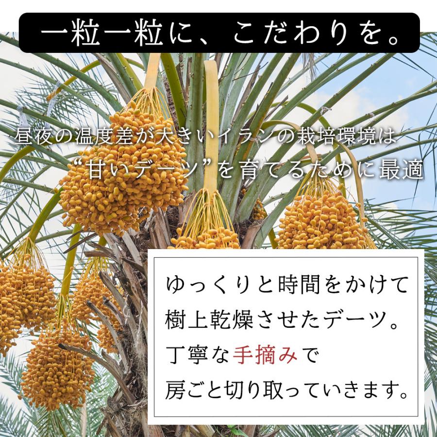 ドライデーツ 850g 砂糖不使用 ノンオイル 種なし種ありが選べる 無添加 無塩 無油 デーツ ドライフルーツ おやつ おつまみ 大容量 美容 健康 送料無料 Y