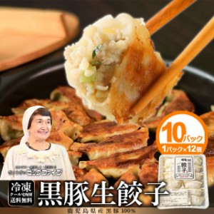 餃子 ぎょうざ 冷凍 鹿児島 ビッグファイブ 黒豚 豚肉 送料無料 生餃子 無添加 母の日 父の日 お中元