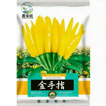 【原廠包裝】金手指辣椒種子（Gold Finger Pepper） 台灣現貨 水果椒/甜椒 生吃清脆香甜 不辣可生食