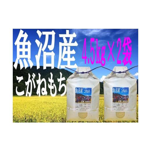 ふるさと納税 新潟県 十日町市 「魚沼産こがねもち」 もち米 精米4.5kg×2袋