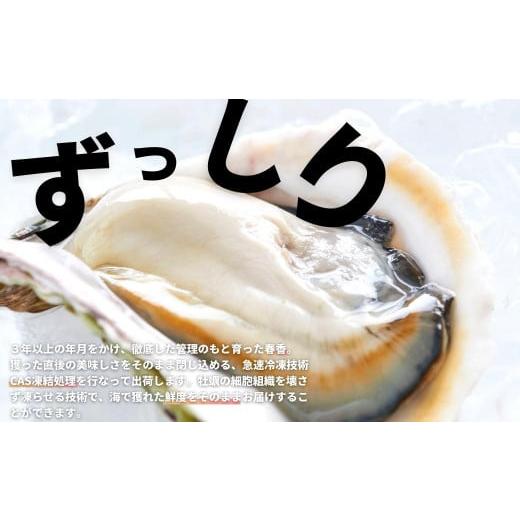 ふるさと納税 島根県 海士町 生のいわがき春香 Sサイズ6個  生牡蠣 牡蛎 牡蠣 かき 岩牡蠣 生食可能 冷蔵