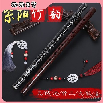🔥臺灣出貨快🔥笛子初學演奏竹笛黑色裂紋成人學生橫笛竹笛竹笛古風僊氣