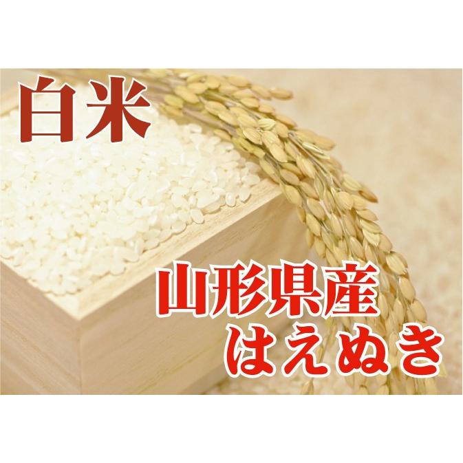 特価 新米 10kg 5kg×2袋 はえぬき 山形県産 白米 精白米 令和5年産 送料無料（SL）