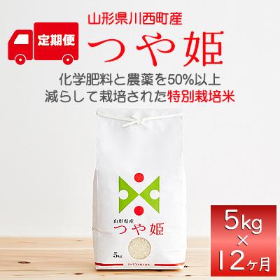 ふるさと納税 川西町 山形県産特別栽培米「つや姫」5kg(5kg×1袋)全12回