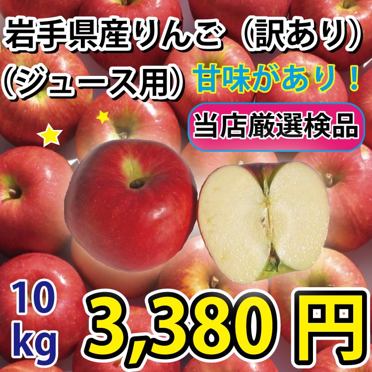 りんご 訳あり ジュース用 10kg