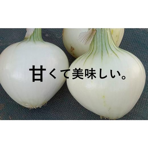 ふるさと納税 愛媛県 愛南町 新たまねぎ  3kg 野菜 サラダ 玉ねぎ たまねぎ オニオン シルクオニオン スープ 煮物 カレー  甘い 美味しい サイズ M L 国産  常…