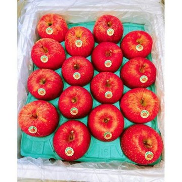 日本 青森 蜜富士 蘋果｜日本青森蘋果    2顆 / 615g+-10%