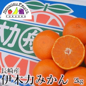 南国フルーツ　長崎産伊木力みかん　約2kg