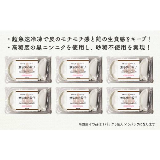 ふるさと納税 高知県 須崎市 化粧箱入り  有機 葉ニンニク と 四万十豚で作った 最高級 餃子 ギフト セット 高知県 須崎市 EA0831