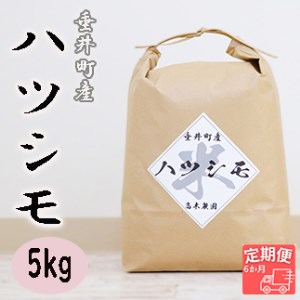 岐阜県産ハツシモ5kg