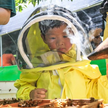 代收代付-桃園 享樂蜂蜜 In Joy With Honey｜蜜蜂生態體驗-蜂糧DIY_單一