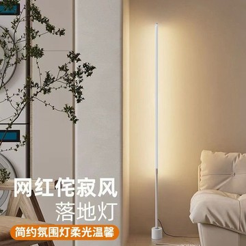 臺灣爆款✨轻奢落地立式台灯床头灯卧室ins少女氛围小夜灯客厅北欧led墙角灯