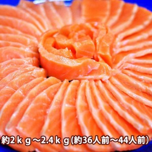 サーモン 刺身 みやぎサーモン 国産 鮭 約2kg～2.2kg 36人前 ～ 44人前 大トロ 生食用 【 銀ざけ 銀さけ 銀鮭 鮮魚 アトランティックサー