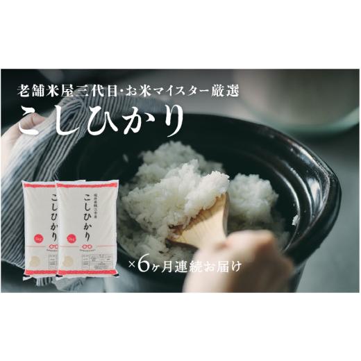 ふるさと納税 福井県 鯖江市 令和5年産 コシヒカリ 10kg (5kg×2袋）× 6回   計60kg （4月上旬、5月上旬、6月上旬、7月上旬、8月上旬、9…