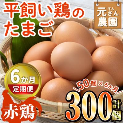 ふるさと納税 佐伯市 平飼い赤鶏のたまご (総量300個・S-Mサイズ50個×6回)