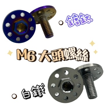 大頭  M6 大頭螺絲 鍍鈦螺絲 白鐵螺絲 燒鈦螺絲  車牌螺絲 白鐵 螺絲 鍍鈦