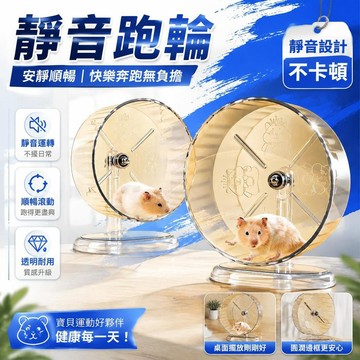 💒臺灣熱銷🐬靜音滾輪 倉鼠滾輪 倉鼠跑輪 黃金鼠滾輪 老鼠滾輪 倉鼠玩具 倉鼠用品 倉鼠運動 倉鼠 跑輪 黃金鼠 靜音
