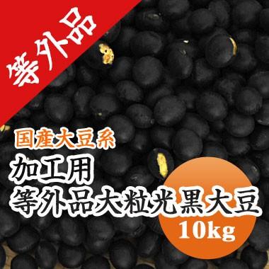 豆 黒豆 加工用 大粒黒豆 北海道産 令和４年産 10kg 業務用 お買い得品 送料無料