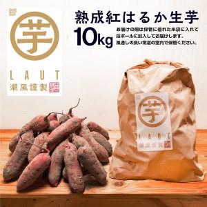 ふるさと納税 干し芋屋のさつまいも 熟成 紅はるか 生芋 10kg 無添加 無着色 茨城県産 サツマイモ 土付き 芋 さつまいも さつま芋 薩摩芋 紅遥 .. 茨城県大洗町