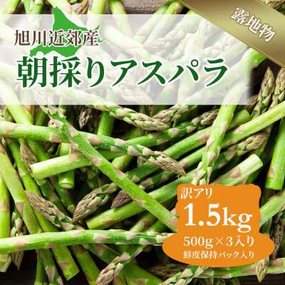 ふるさと納税 旭川市 令和6年5月中旬より発送　訳あり朝採りアスパラ1.5kg(500g×3)　旭川近郊産