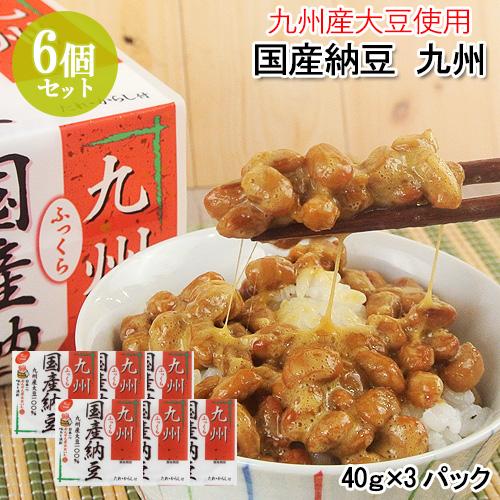 国産納豆 九州(40ｇ×3) 6個セット 九州産大豆 本醸造醤油使用 からし付き 二豊フーズ