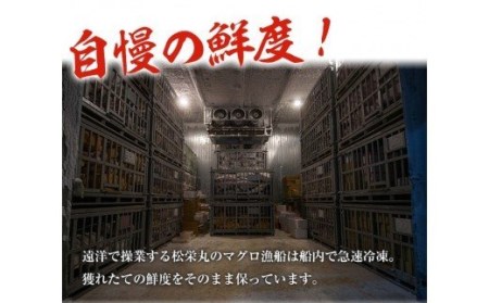 南まぐろの大トロ・中トロセット 南まぐろ刺身用大トロ、上トロ、中トロ各1本（約600g） 希少な天然南まぐろをご家庭で！最上級の南まぐろを詰め合わせた幻のまぐろ極みセット